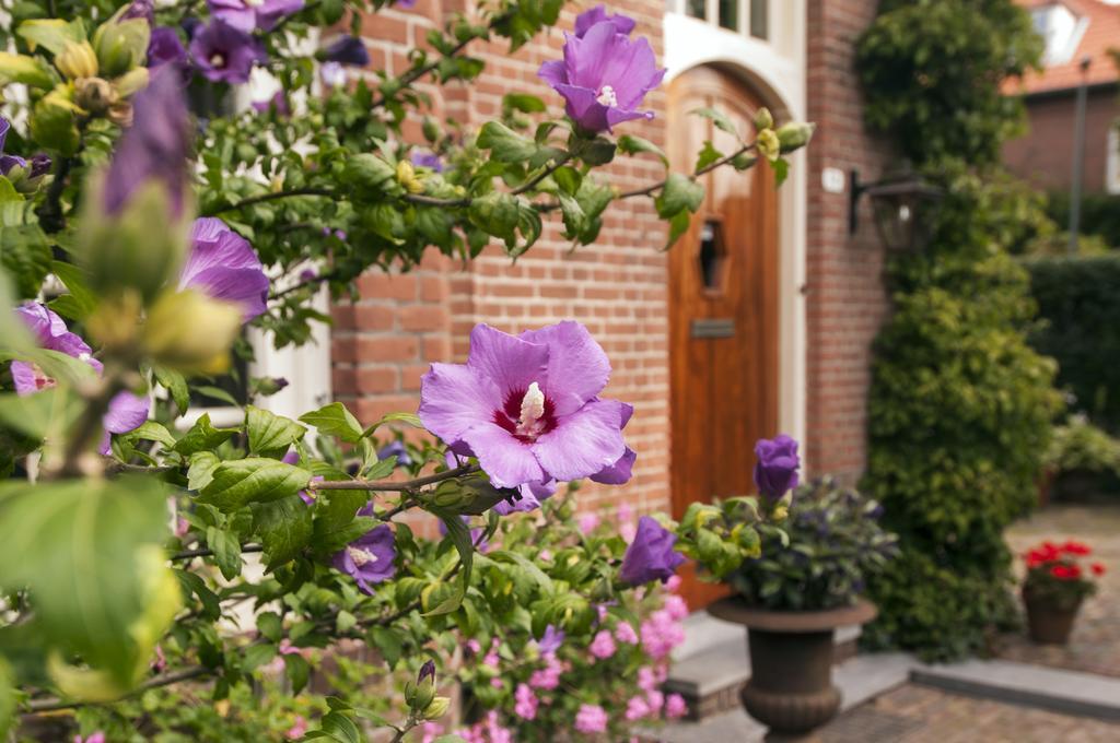 De Schiedamse Suites Buitenkant foto